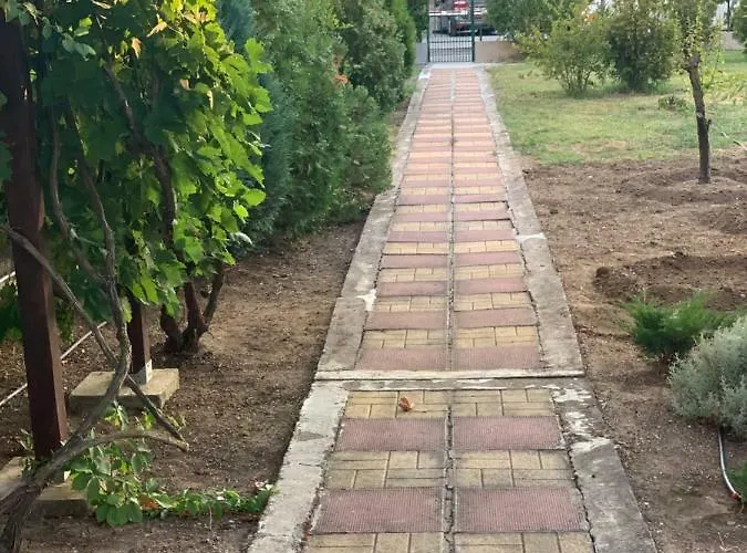 Guest house Lilia 4*